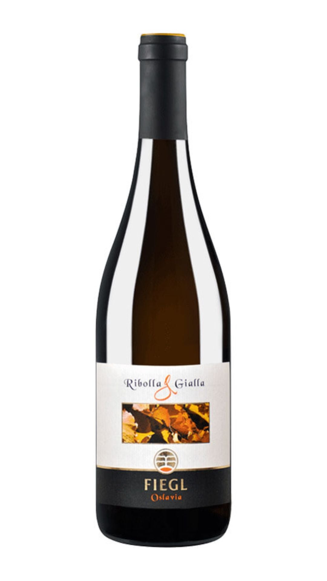 Fiegl Ribolla Gialla Macerata Villa Dugo 750ml